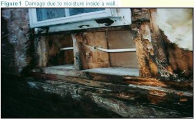 Damage due to moisture inside a wall