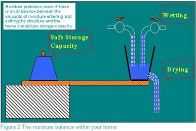 The Moisture Balance Within Your Home